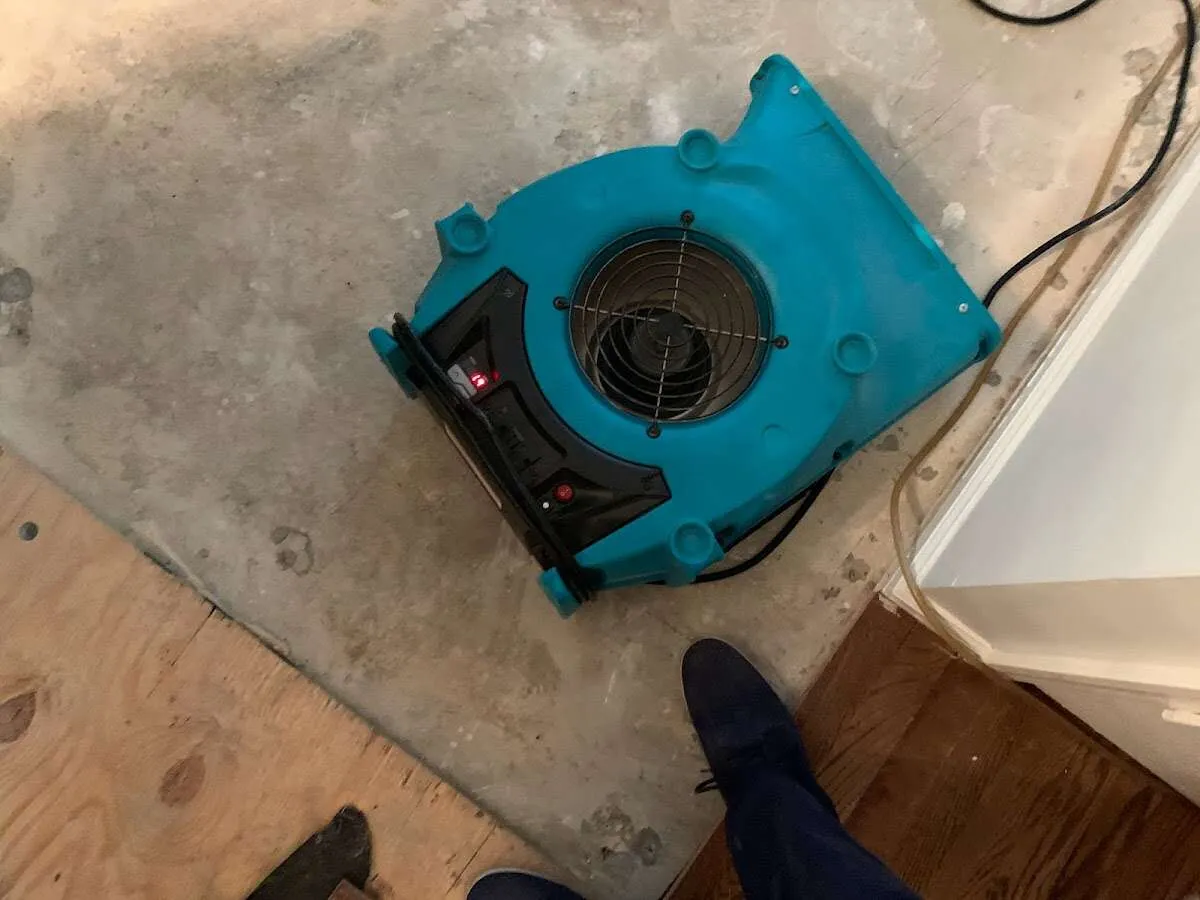 Air mover drying subfloor during Commercial Water Damage Restoration in Picnic Point